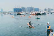 Harbour Energizer(2024)_3