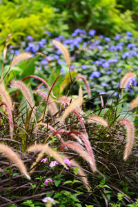 Tsui Ping River Garden 6