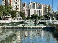 Tsui Ping River 5