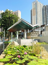 Tsui Ping River 11