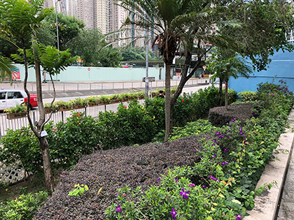 街景 6